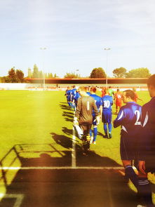 开云体育足球-2024年国际乒联混合团体世界杯:印度队表现大放异彩,2024年乒乓球世锦赛 第2张